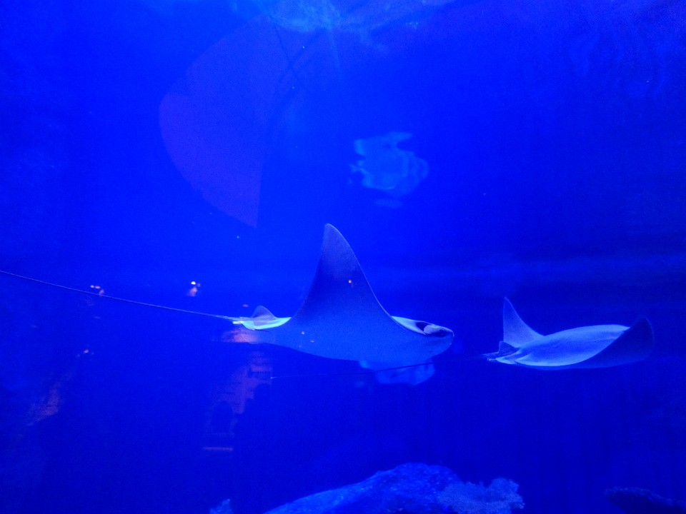 P1110658