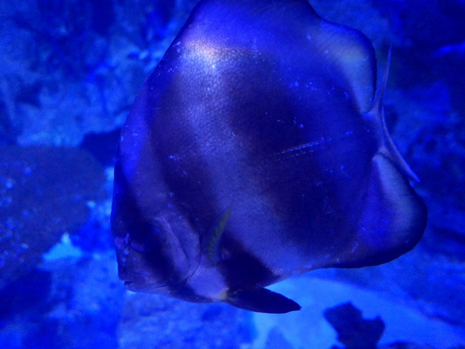 P1110661