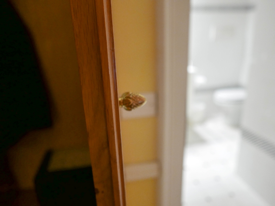 IMG-146