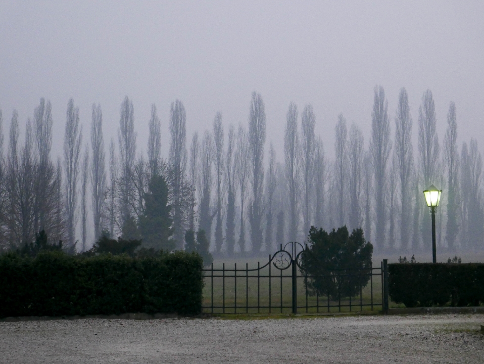 IMG-535