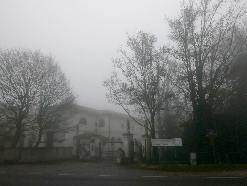 IMG-602