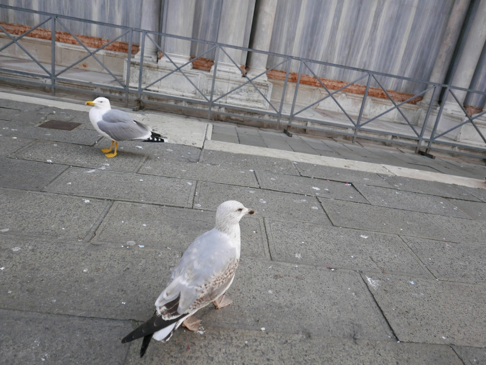IMG-397