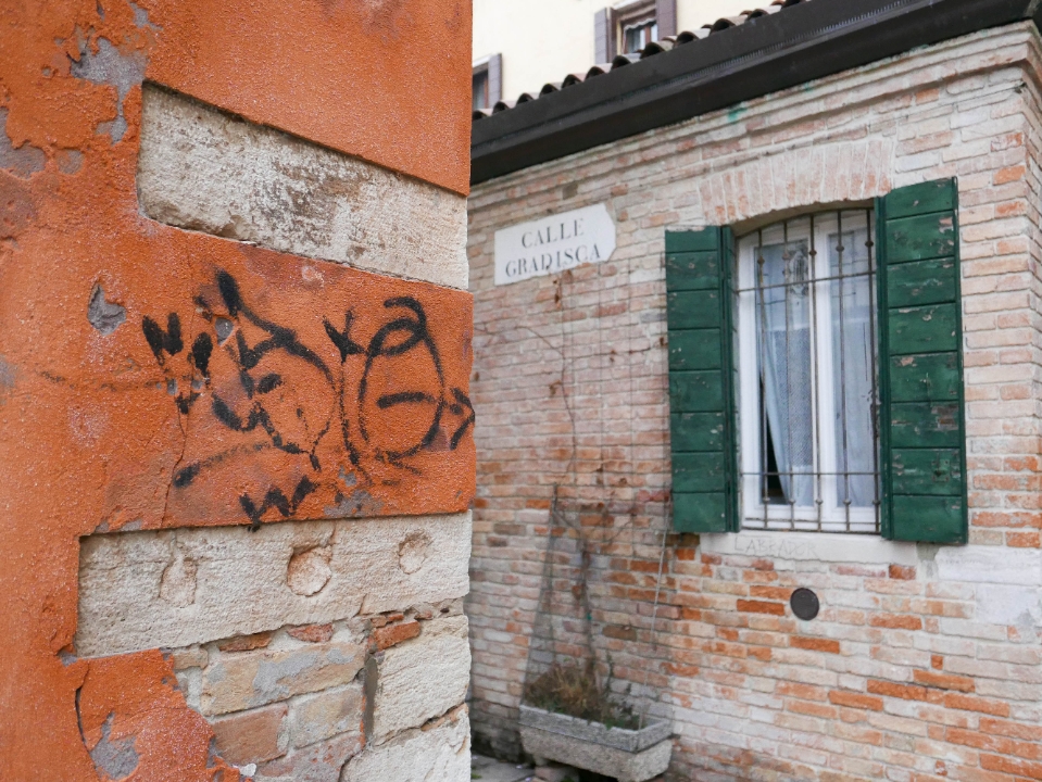 IMG-495