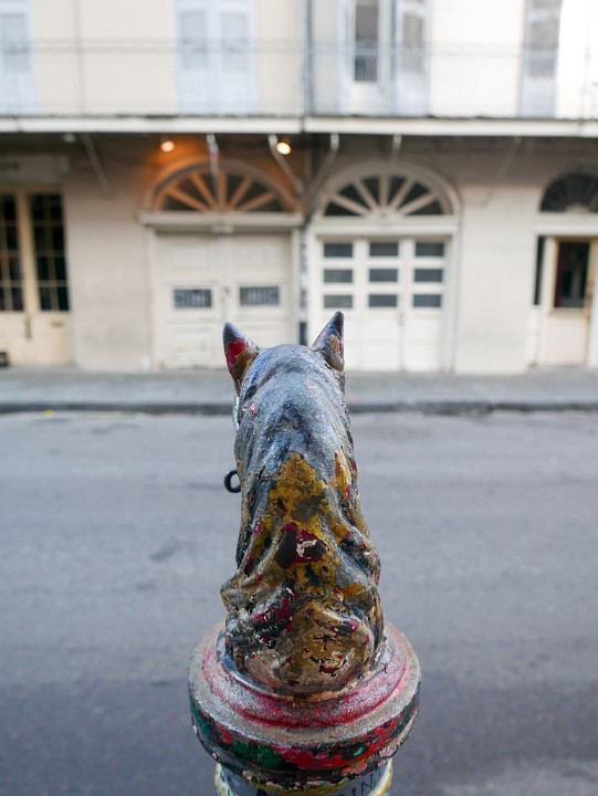 IMG-169