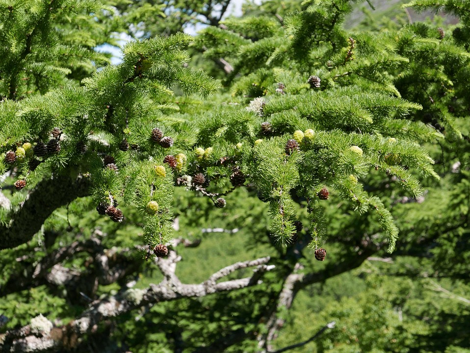 P1260130