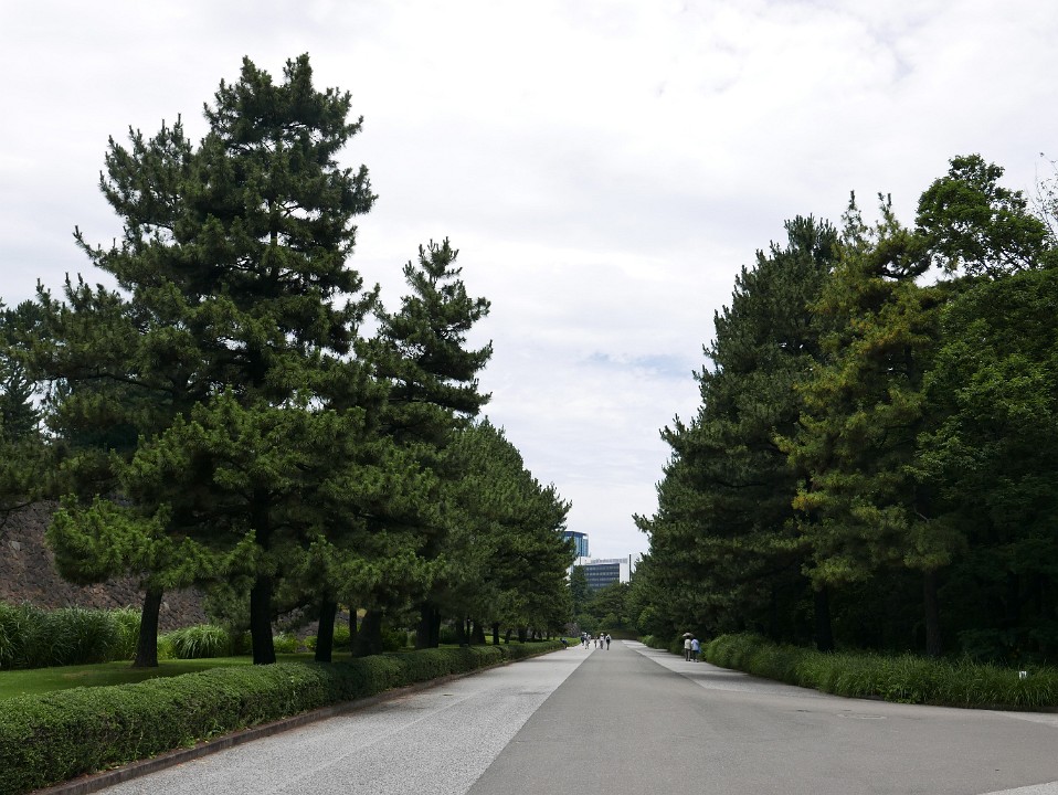 P1230725