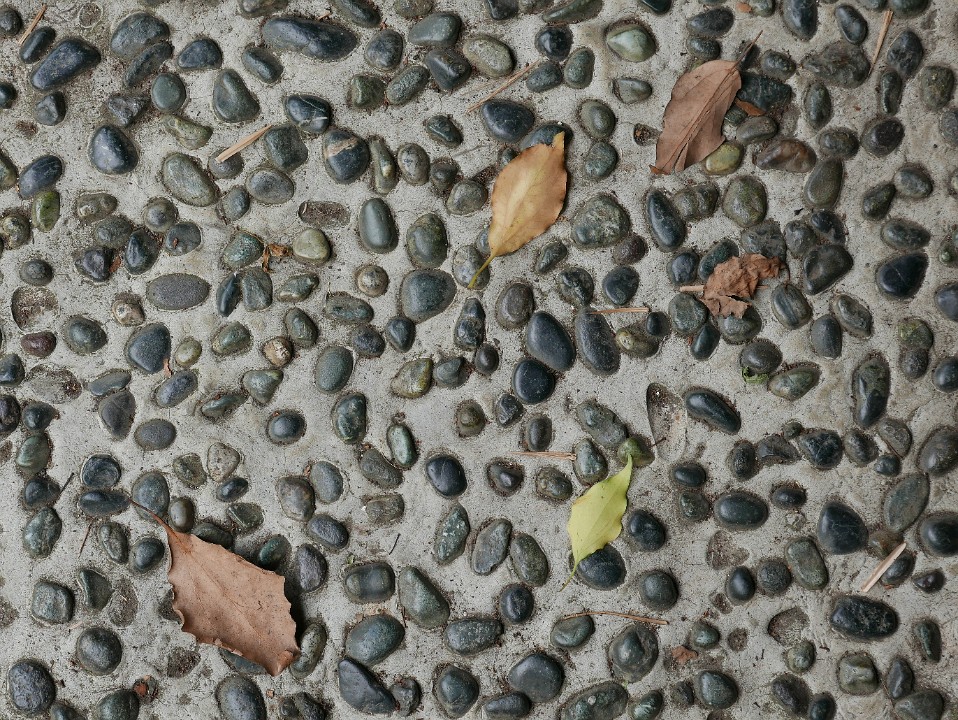 P1230804
