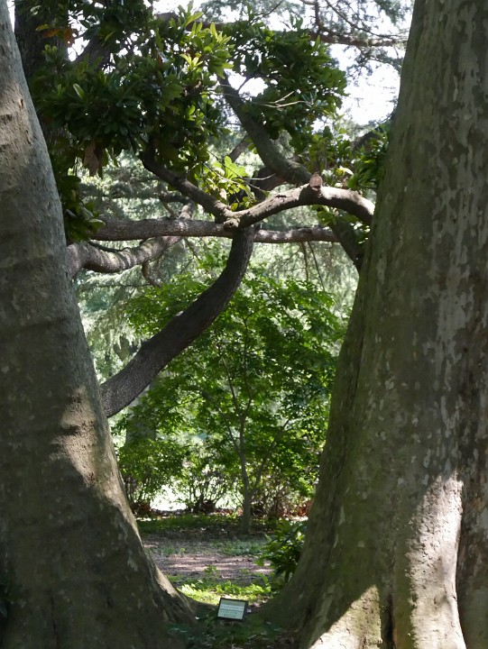 P1260960