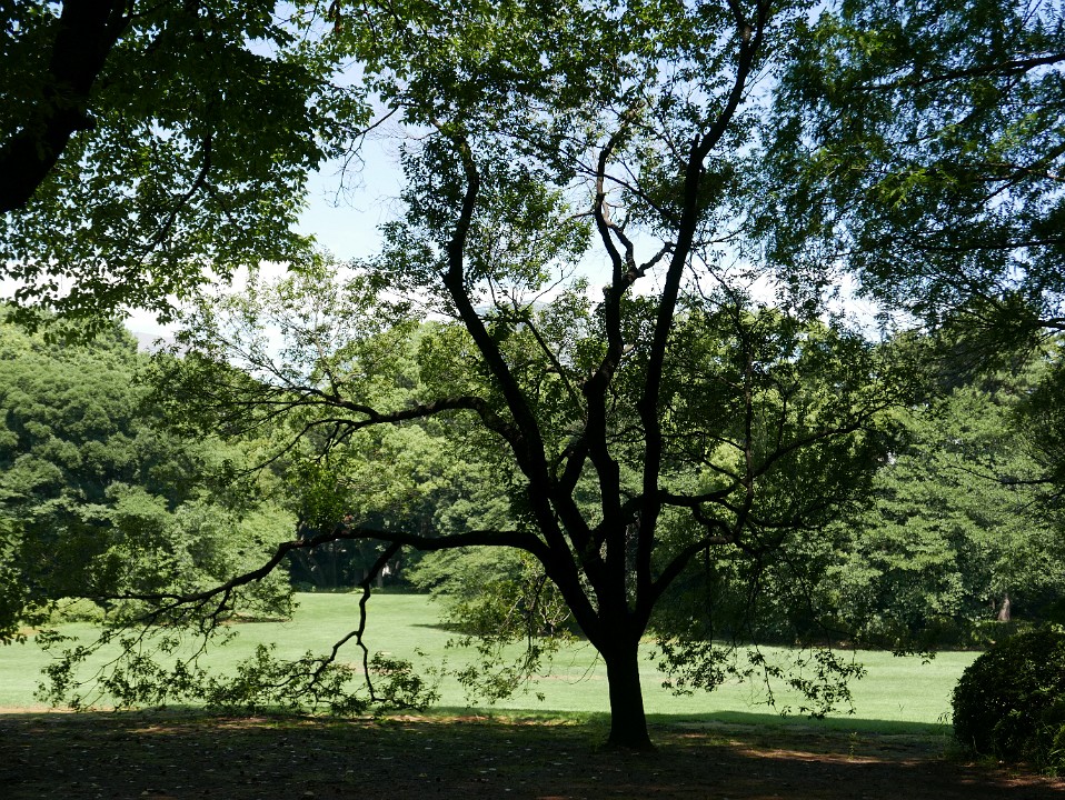 P1260999