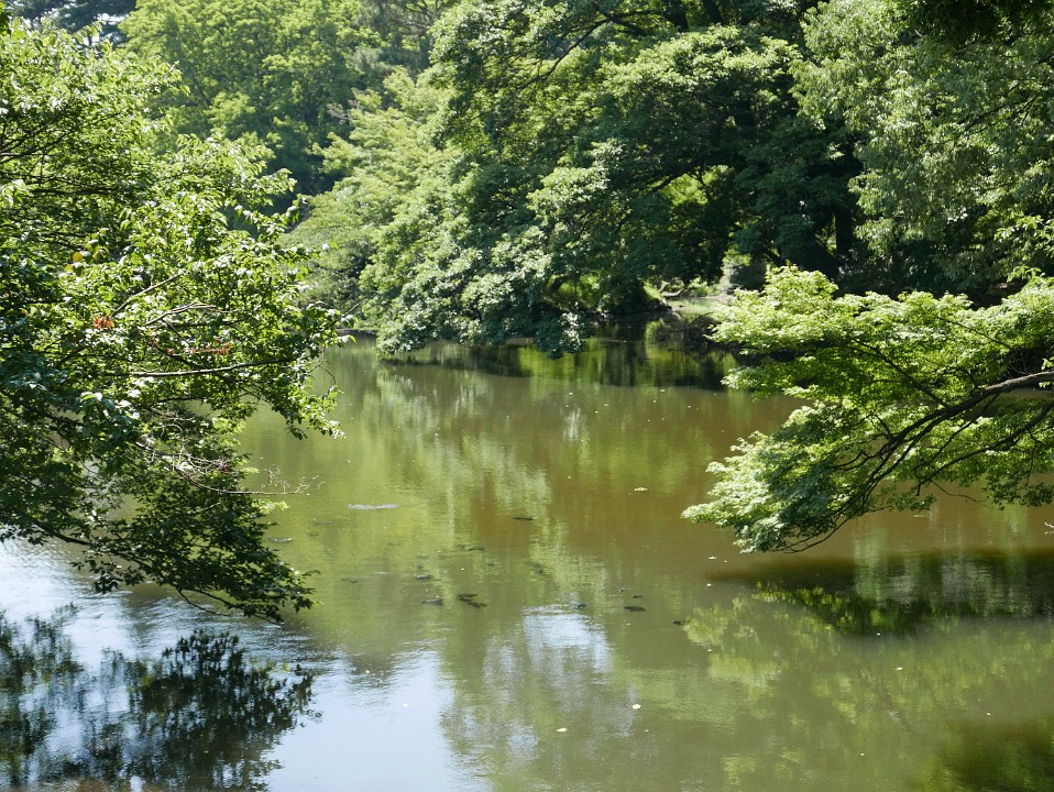 P1270002