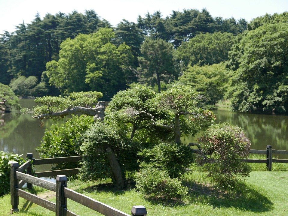 P1270014