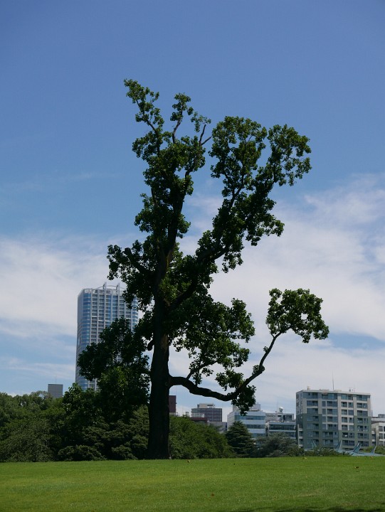 P1270020
