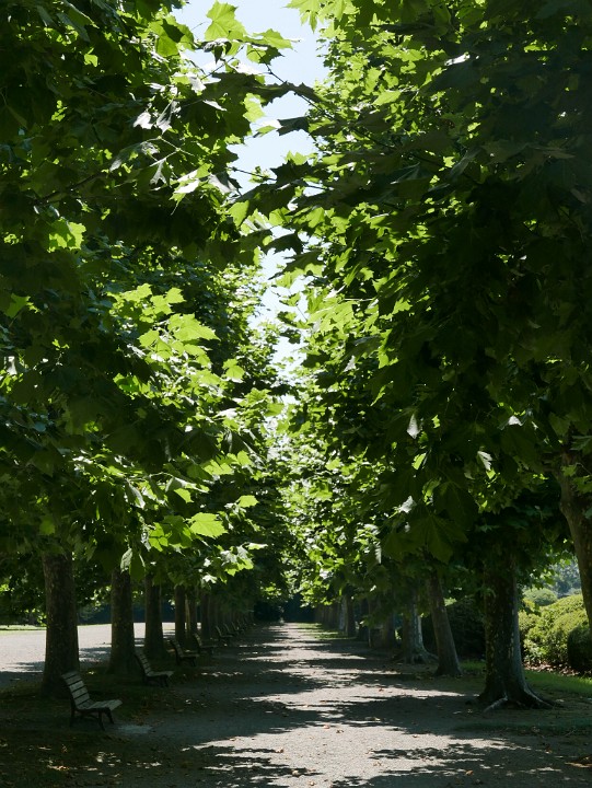 P1270051