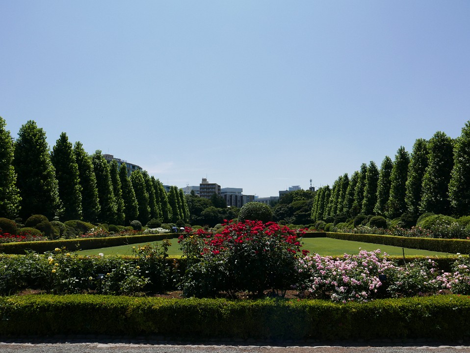 P1270068