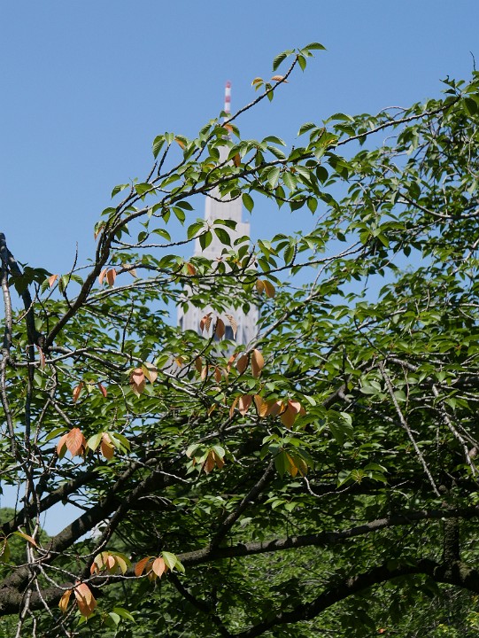 P1270078