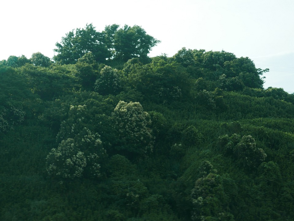 P1230230