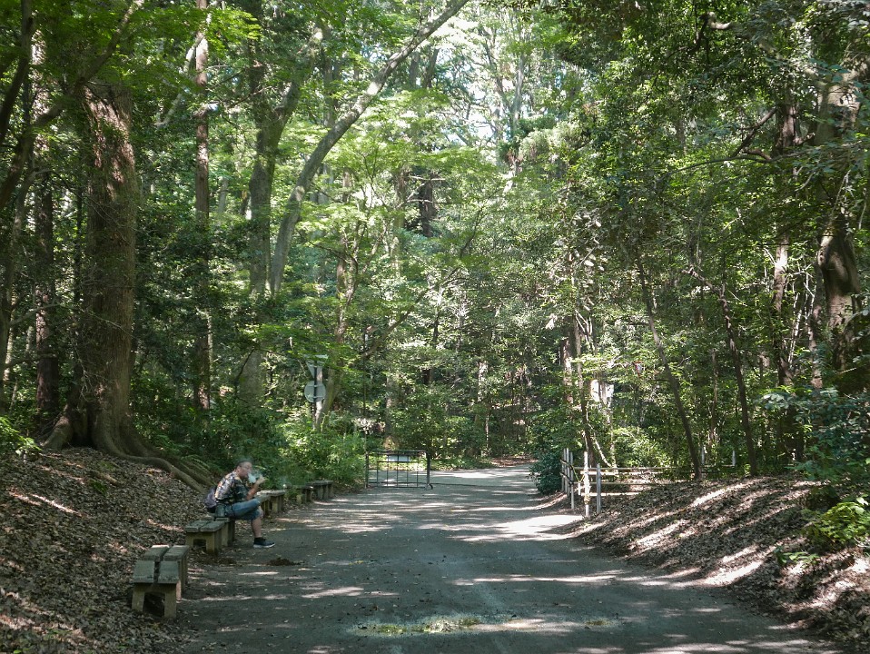 P1260849