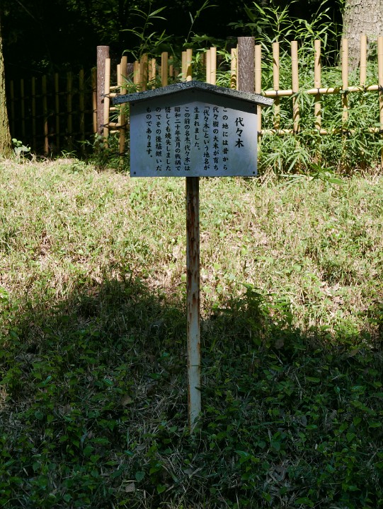P1260867