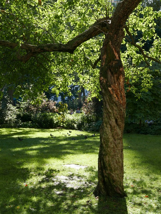 IMG-156