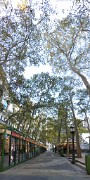 IMG 4186