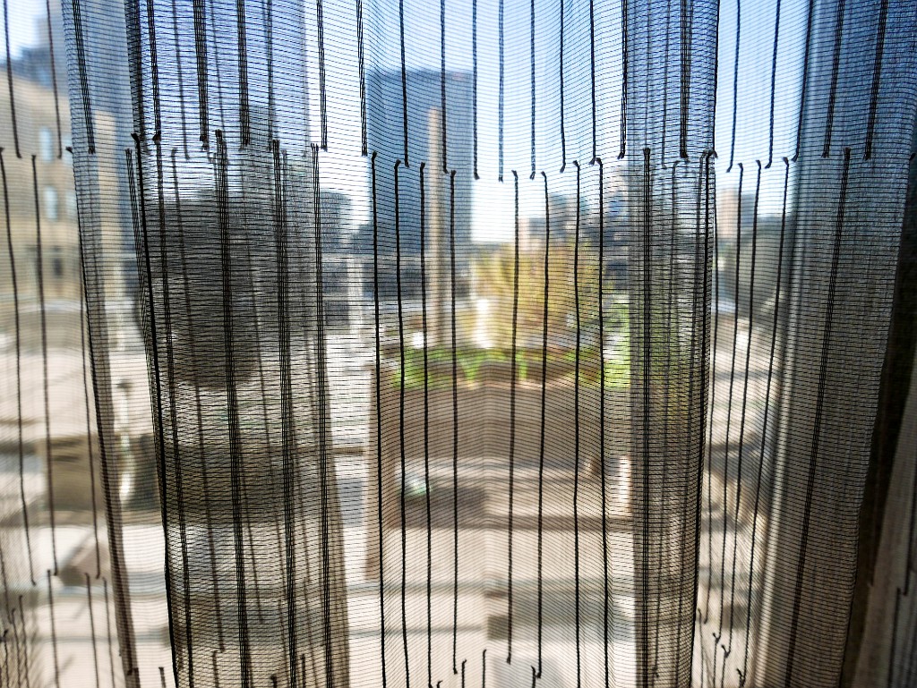 P1300290