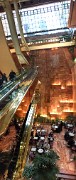 IMG 4152