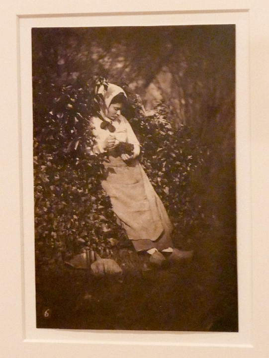 P1320142