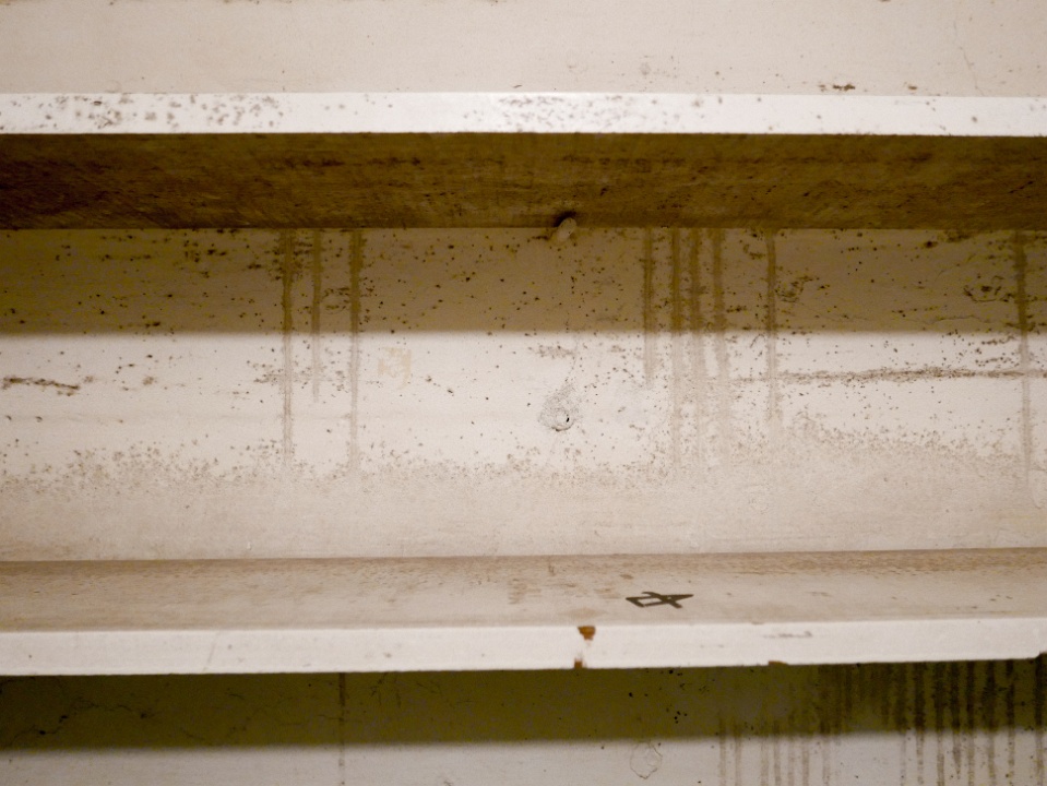 IMG-00061