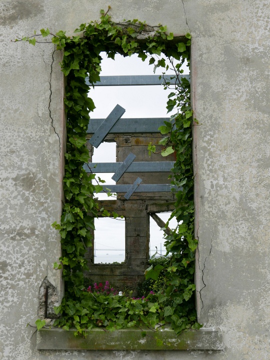 IMG-00088