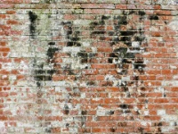 IMG-00035