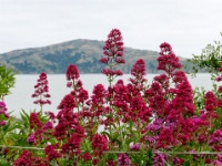 IMG-00037