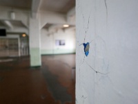 IMG-00055
