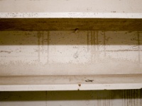 IMG-00061