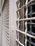 IMG-00069