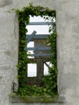 IMG-00088