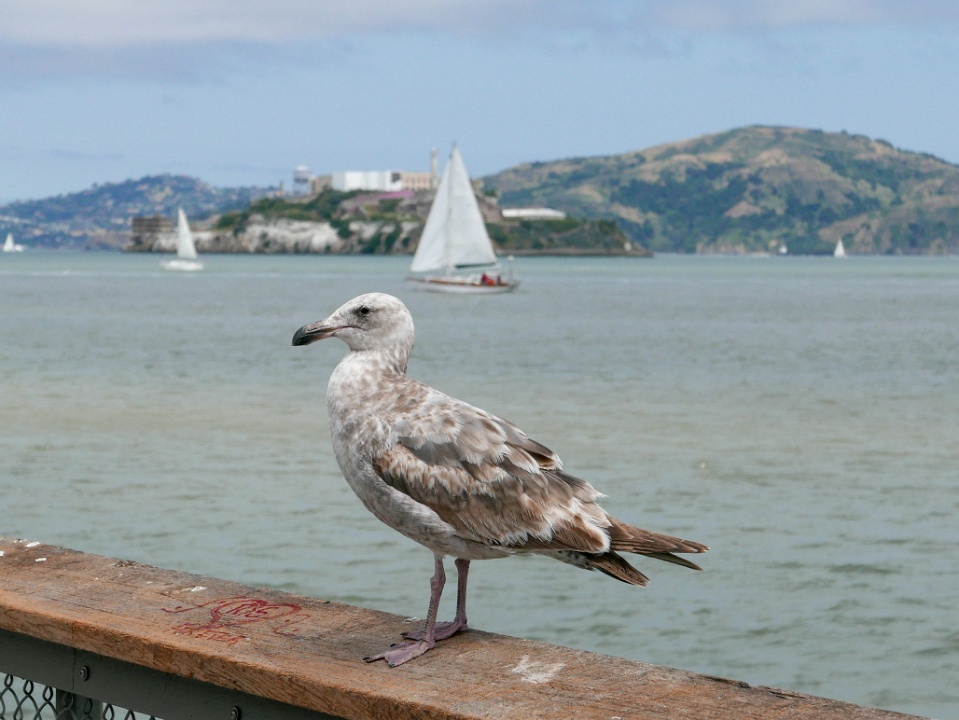 IMG-00108