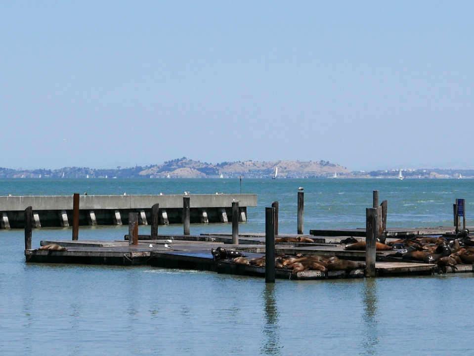 IMG-00123