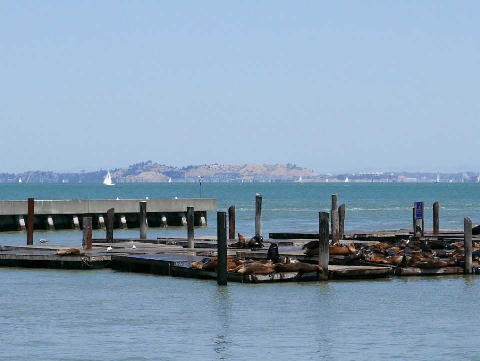 IMG-00130