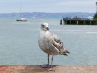 IMG-00107