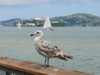Dock of the Bay