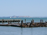 IMG-00130