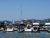 IMG-00131