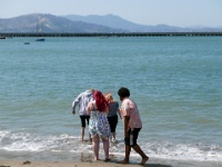 IMG-00262