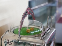 IMG-00377