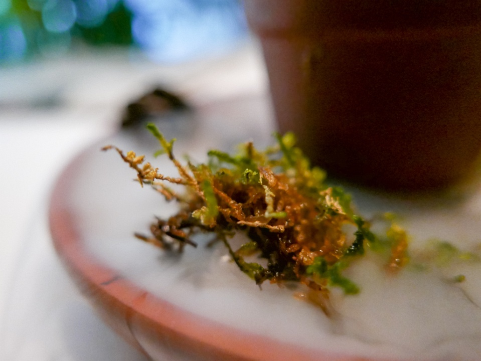 IMG-00178