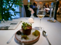 IMG-00177