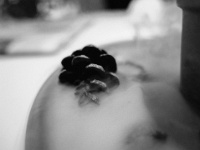 IMG-00179