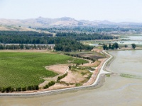 IMG-00245