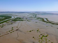 IMG-00246