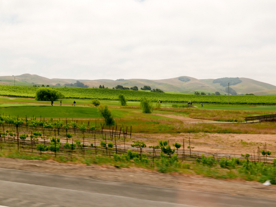IMG-00211